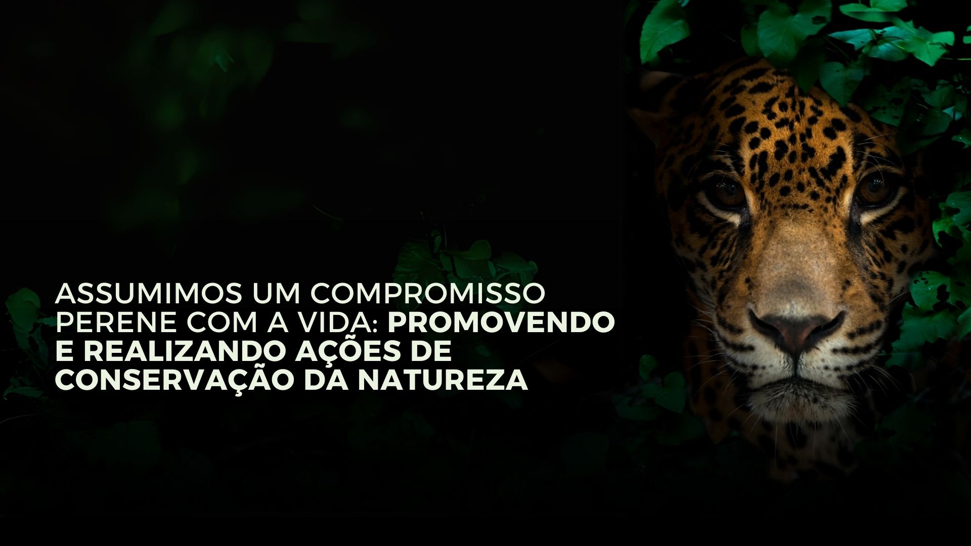 IC - INSTITUTO CERRADO INSTITUTOCERRADO.COM.BR