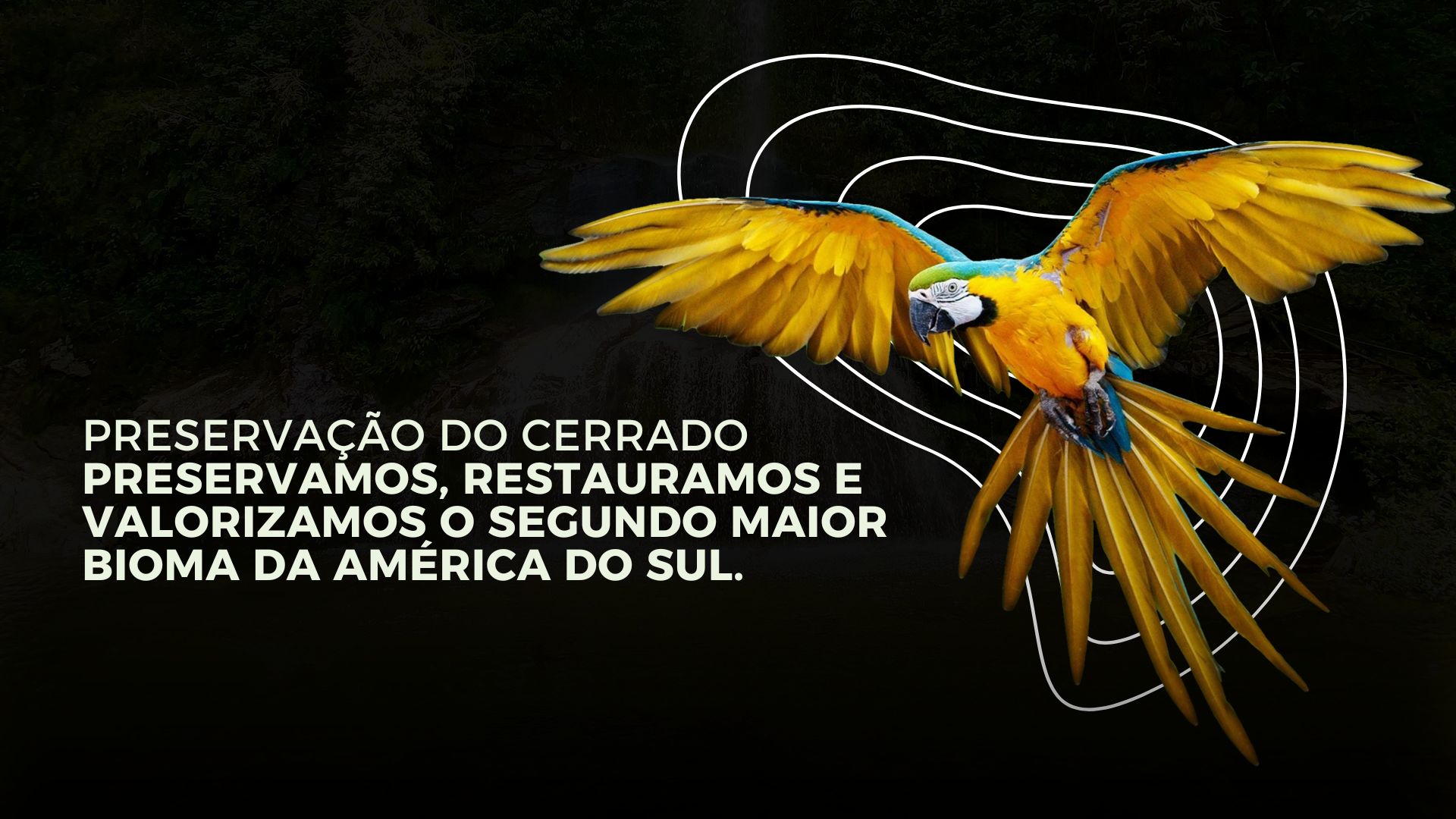 IC - INSTITUTO CERRADO INSTITUTOCERRADO.COM.BR